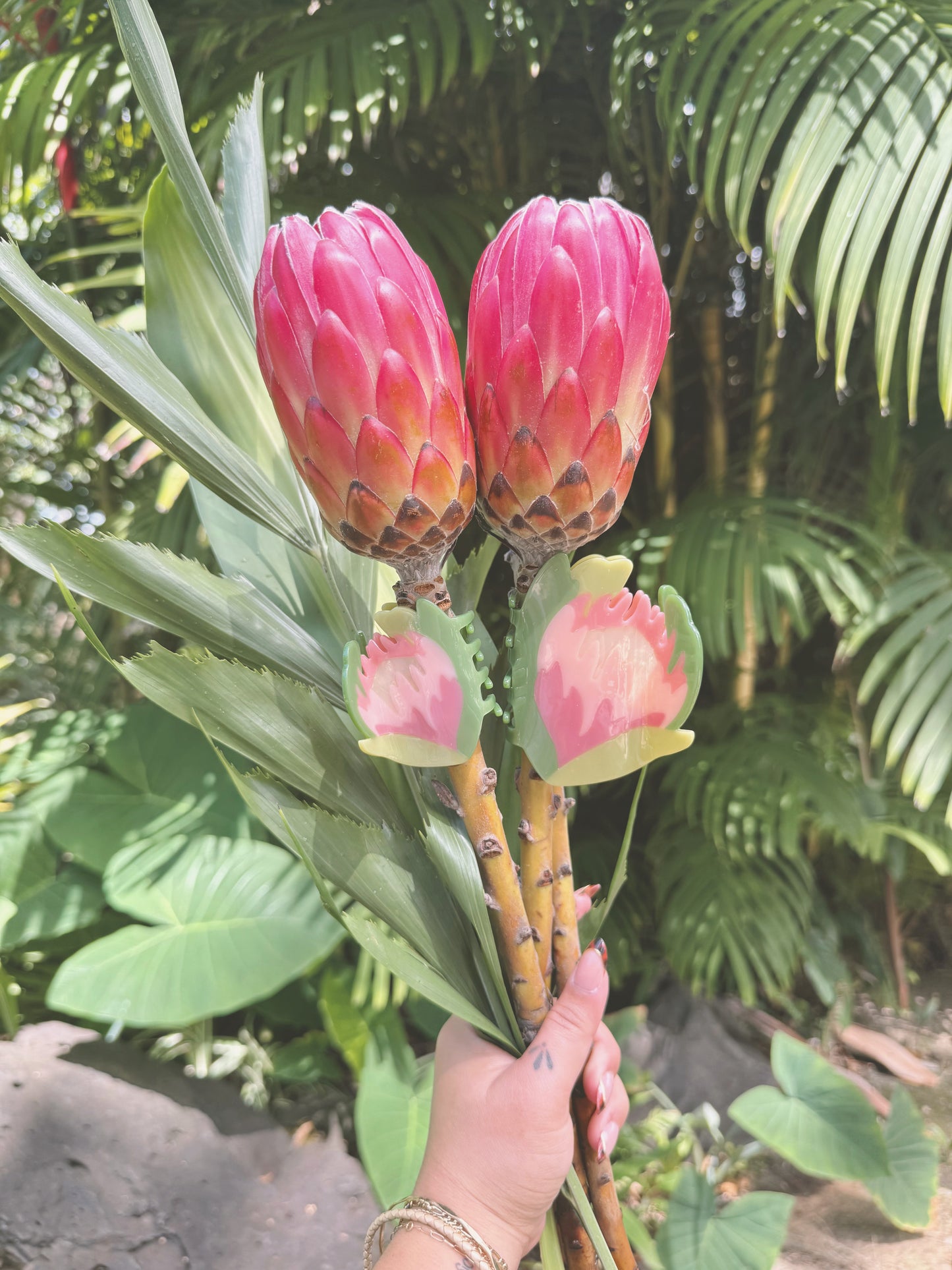 Mini Protea | Claw Clip by COOPMONSTER x Bujo Bae
