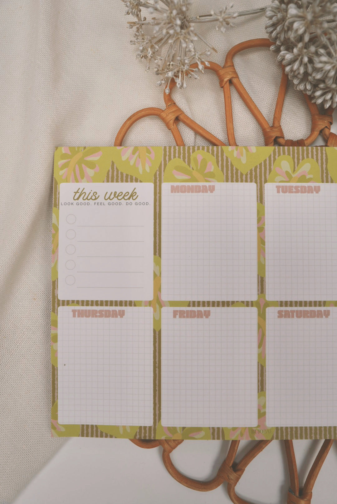 Obake Anthurium | Weekly Notepad (3 months)