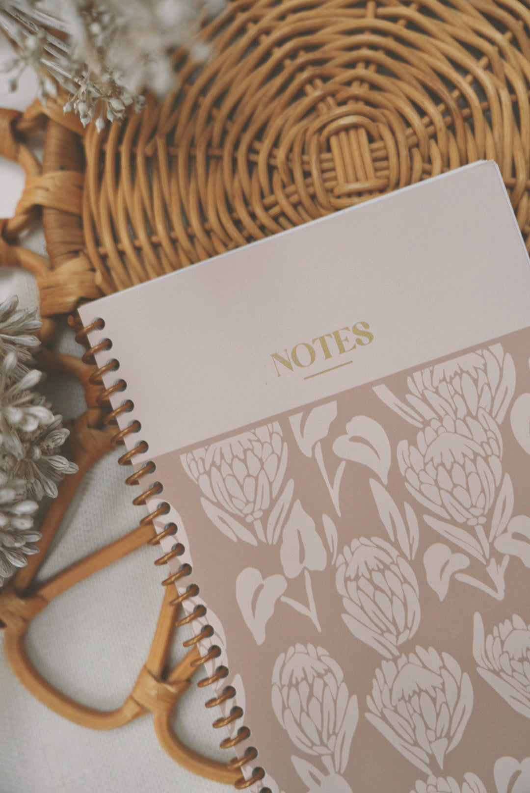 BAE in Latte | Coil Notebook