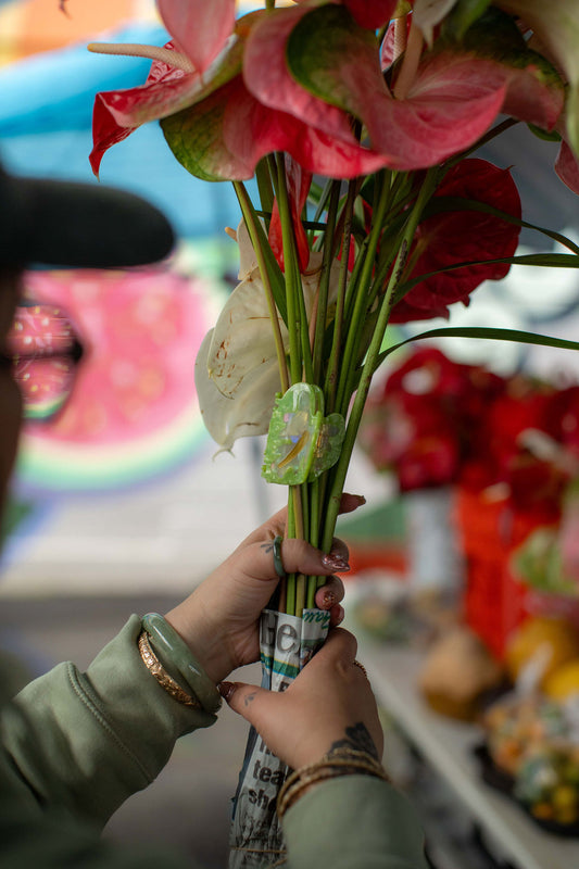 MINI Obake Anthurium   | Claw Clip by COOPMONSTER x Bujo Bae