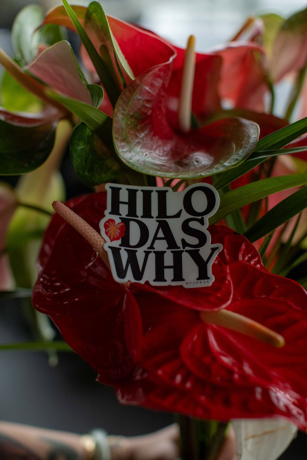 Hilo Das Why | Vinyl Sticker
