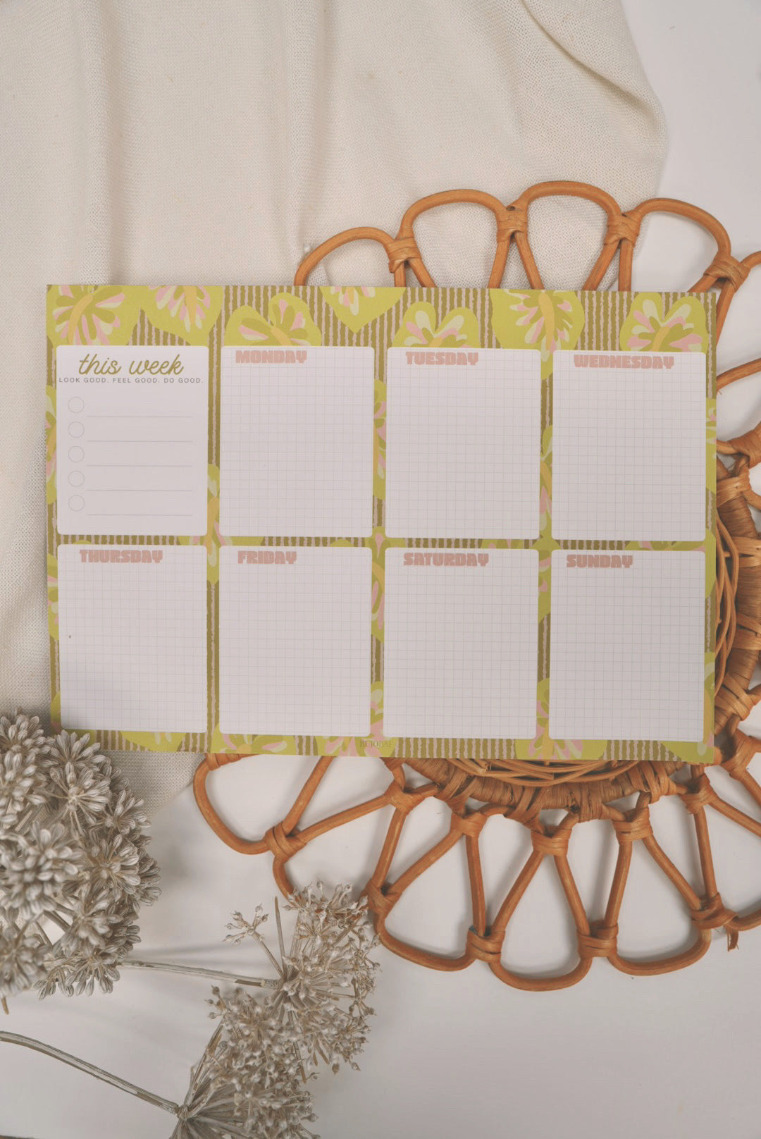 Obake Anthurium | Weekly Notepad (3 months)