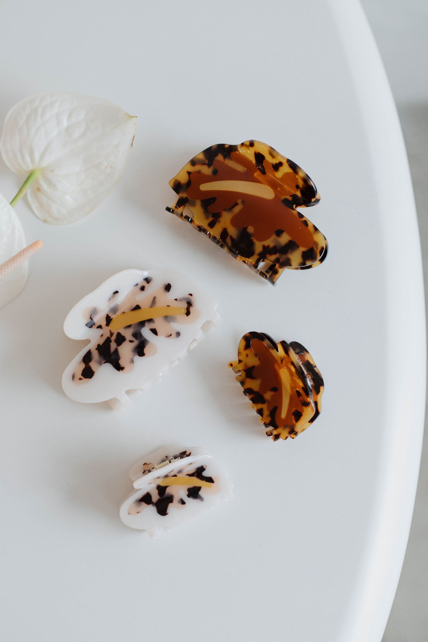 Large Hilo Anthurium in Pearl Tortoise Shell  | Claw Clip by COOPMONSTER x Bujo Bae